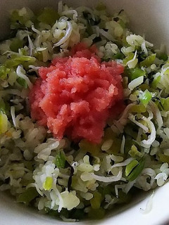 しらすと野沢菜の混ぜご飯-レシピのメイン写真