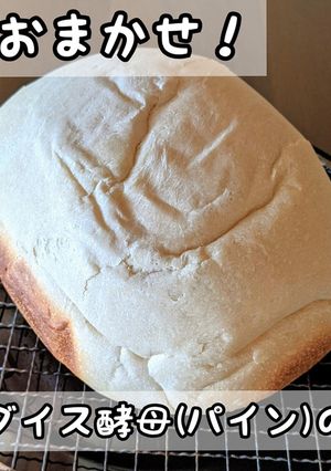 パラダイス酵母のパン HBで-レシピのメイン写真