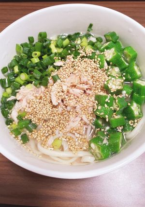 オクラとツナの冷うどん-レシピのメイン写真