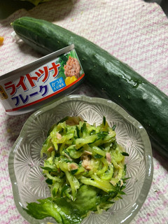 ごま油香るツナとキュウリ和え-レシピのメイン写真