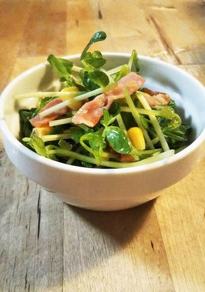 豆苗とベーコンのサラダ-レシピのメイン写真