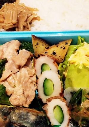 日々のお弁当(本日、地味弁)-レシピのメイン写真