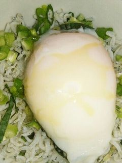 しらす丼-レシピのメイン写真
