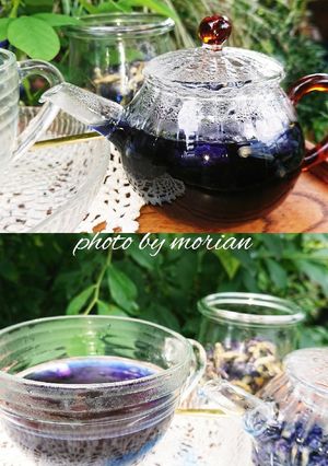 ティーハーブ☆バタフライピーでお茶しよう-レシピのメイン写真
