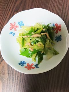 ★ねぎ大量消費★無限ねぎ-レシピのメイン写真