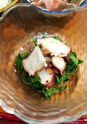 モロヘイヤと酢だこサラダ仕立て-レシピのメイン写真