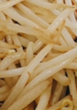 やみつき！もやし-レシピのメイン写真