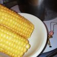 シャトルシェフでもろこしを茹でる