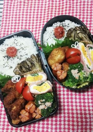 パパ&高校男子弁当♡紫蘇かつ7/16-レシピのメイン写真