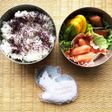 怒涛のお弁当生活55日目