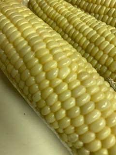 とうもろこし茹でてシワシワにならない方法-レシピのメイン写真