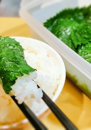 人気!大葉漬け/ご飯のお供/作り置き保存-レシピのメイン写真