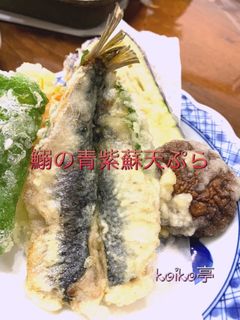 イワシの青しそ天ぷら 開き方-レシピのメイン写真