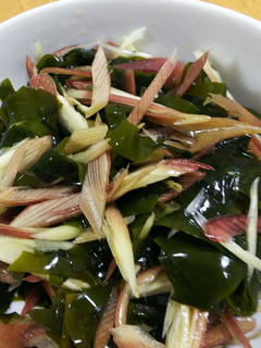わかめとみょうがの簡単酢の物-レシピのメイン写真