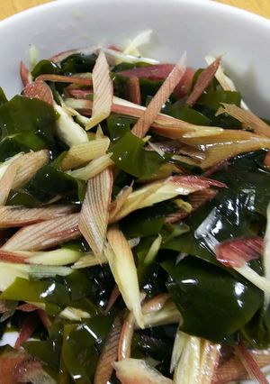 わかめとみょうがの簡単酢の物-レシピのメイン写真