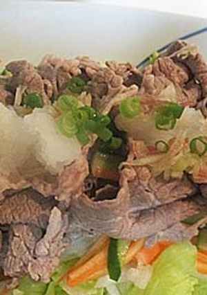 おろし牛シャブ野菜盛り-レシピのメイン写真
