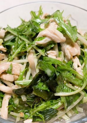 水菜と鶏むね肉の腸活サラダ☆-レシピのメイン写真