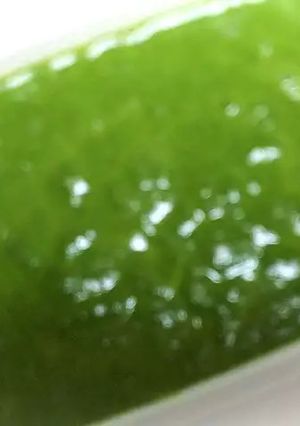 ほうれん草のソース-レシピのメイン写真