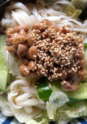 納豆サラダうどん-レシピのメイン写真