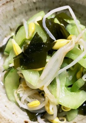 豆もやしと胡瓜の辛子酢和え-レシピのメイン写真