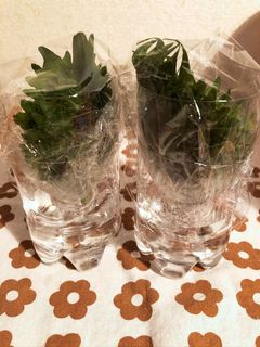 大葉の保存-レシピのメイン写真