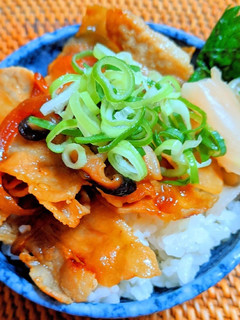 簡単で美味しい豚丼-レシピのメイン写真