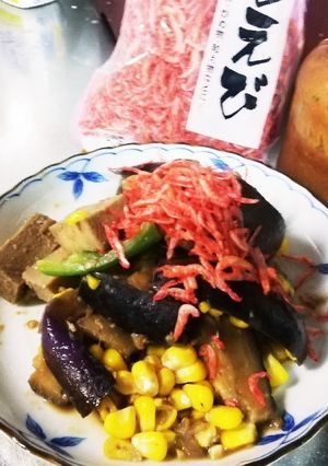 貴女風味で炒め茄子高野干エビ♥ゆりさん風-レシピのメイン写真