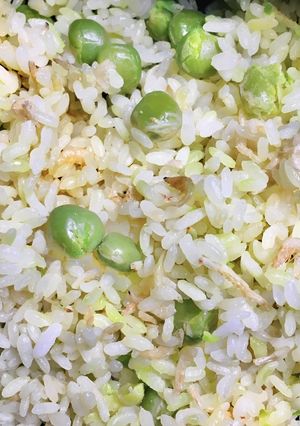 塩エンドウ豆と桜えびの炊き込み御飯-レシピのメイン写真