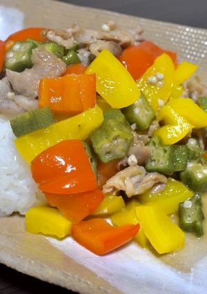 オシャレすぎる‧✧̥̇‧さっぱり豚丼-レシピのメイン写真