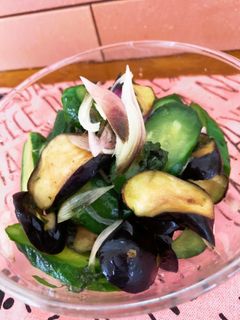 味付け昆布茶のみ♡きゅうりとナスの浅漬け-レシピのメイン写真