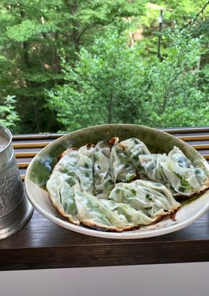 夏野菜の餃子【ダイエット】-レシピのメイン写真