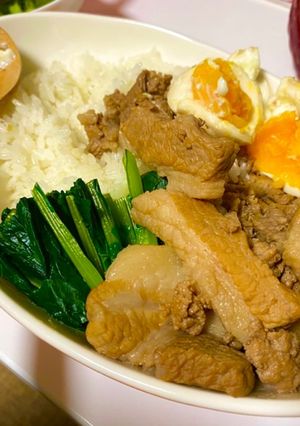 子供も食べれる★魯肉飯-レシピのメイン写真