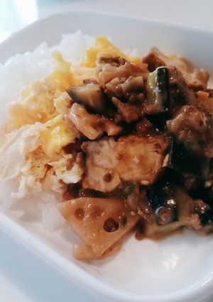 茄子と厚揚げのミルクカレー-レシピのメイン写真