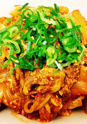 大人の牛丼〜白菜キムチ入り牛丼-レシピのメイン写真