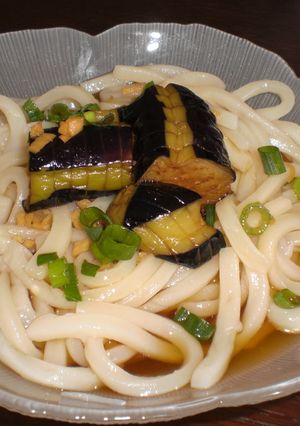 揚げなす冷やしうどん☆-レシピのメイン写真