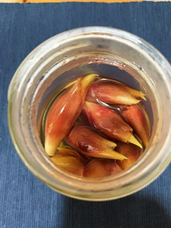 みょうが酢-レシピのメイン写真