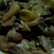 砂肝と鳥レバの甘辛煮