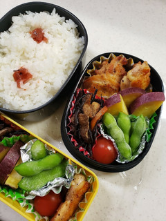 女子高生のお弁当(5日目)-レシピのメイン写真