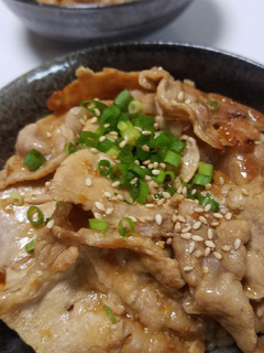 お二人さんの☆夏の豚丼!-レシピのメイン写真