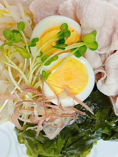 簡単な冷しゃぶ-レシピのメイン写真