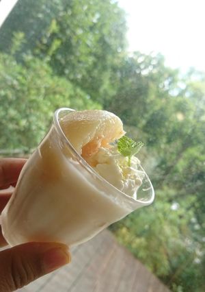 水切りヨーグルトで美味しい桃のジェラート-レシピのメイン写真