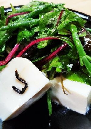 簡単！シーアスパラガスの豆腐サラダ-レシピのメイン写真