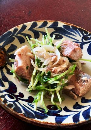 鯖♡豆苗サラダ　サバサバサラダ-レシピのメイン写真