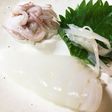 獲れたて極小イカの細切り刺身