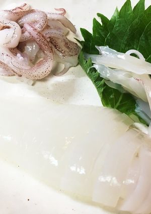 獲れたて極小イカの細切り刺身-レシピのメイン写真