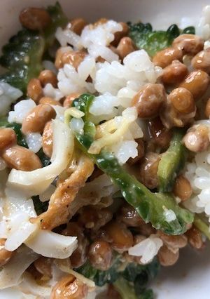 納豆とゴーヤの胡麻和えの混ぜご飯-レシピのメイン写真