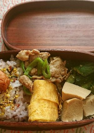 お弁当2020年6月17日-レシピのメイン写真