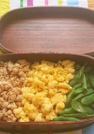 お弁当2020年6月24日-レシピのメイン写真