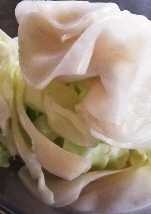 糖尿病食キャベツと酢♥ゆりさん風-レシピのメイン写真