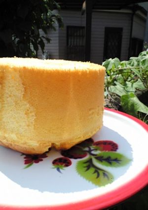 シュワシュワだぁ～♪あんずシフォンケーキ-レシピのメイン写真